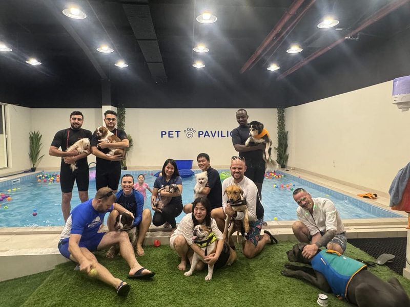 The Pet Pavilion team with dogs beside the indoor pool