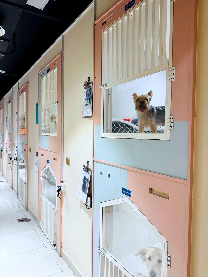 The pastel corridor of private dog rooms at the Pet Pavilion hotel