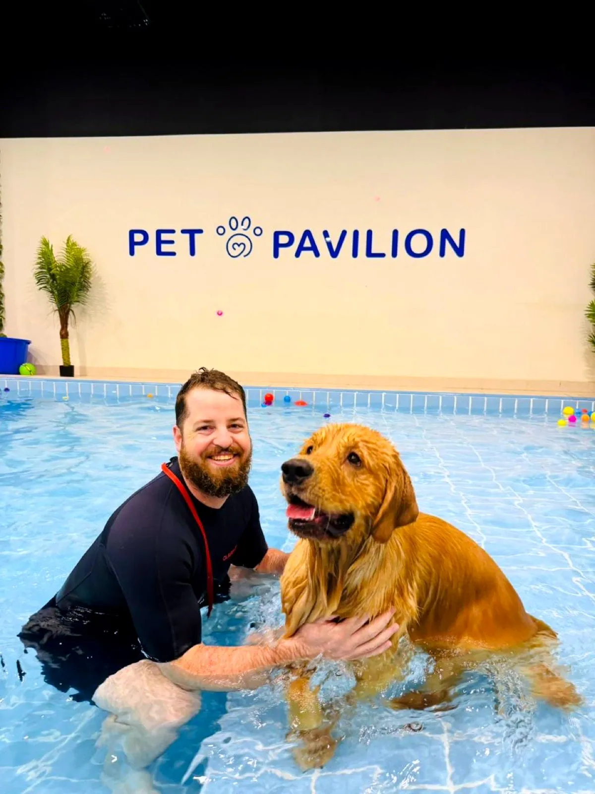 A Pet Pavilion physiotherapist in the pool with a golden retriever during hydrotherapy