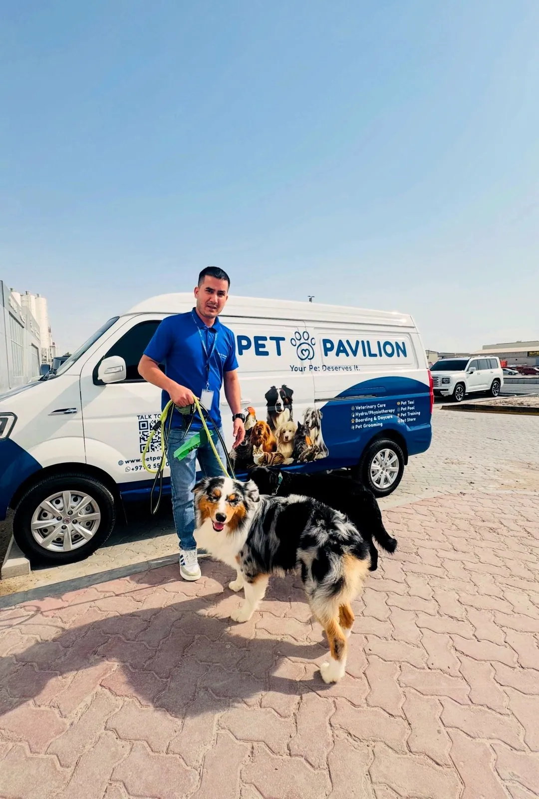 Pet Pavilion pet taxi driver picking up dogs beside the branded transport van