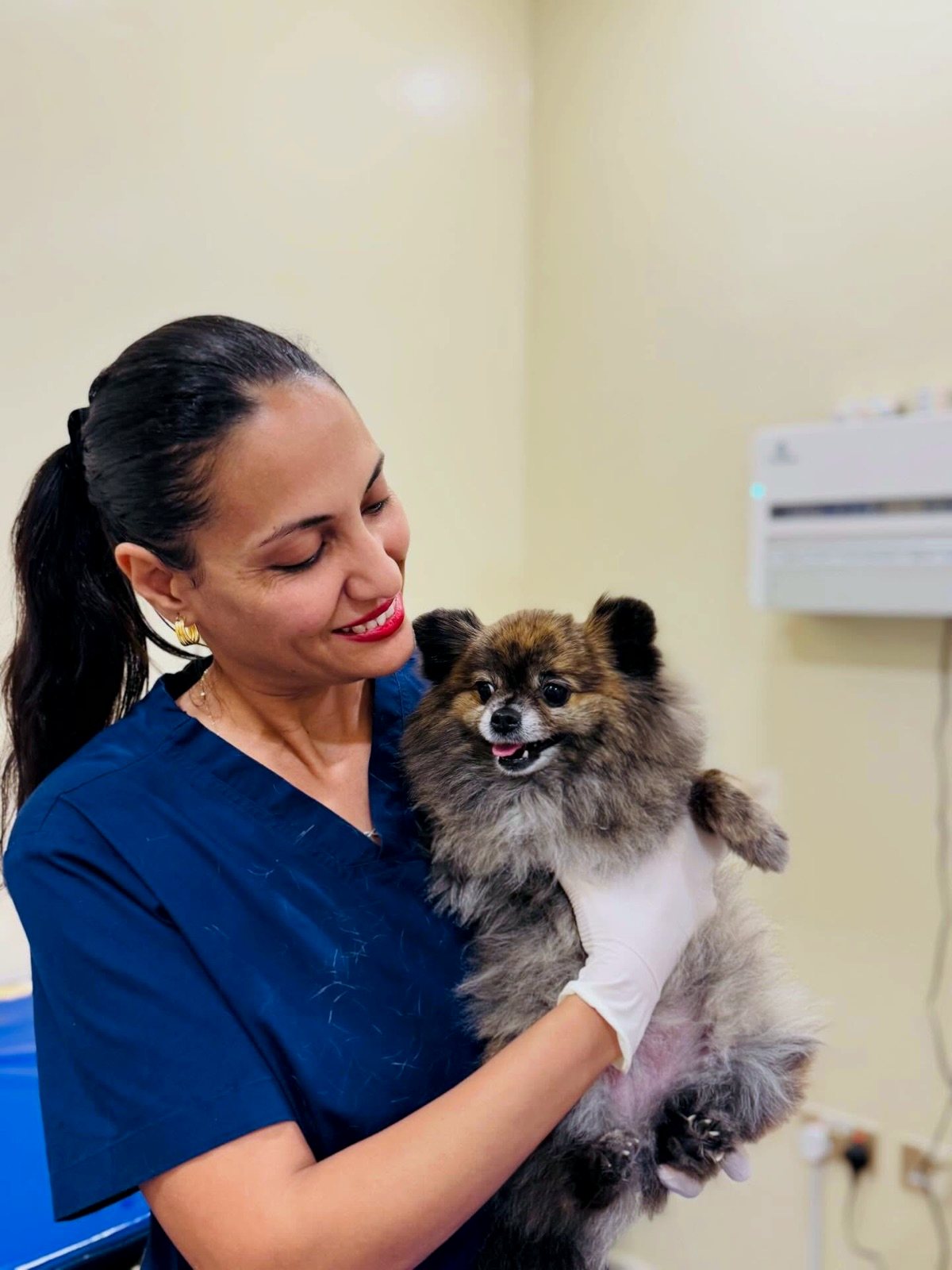 A Pet Pavilion vet in blue scrubs holding a smiling Pomeranian in a consultation room
