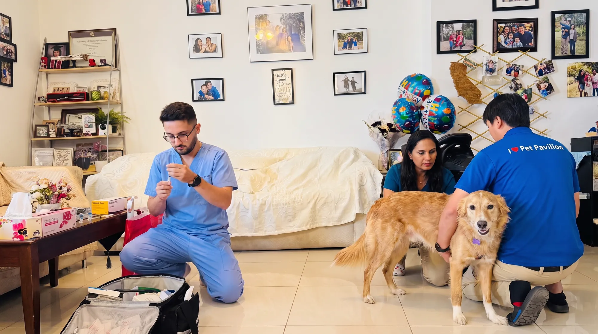 Pet Pavilion vet and team treating a dog during a home visit in Abu Dhabi
